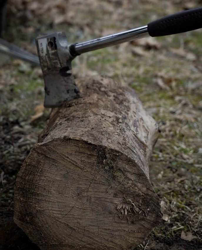 Tree Trimming